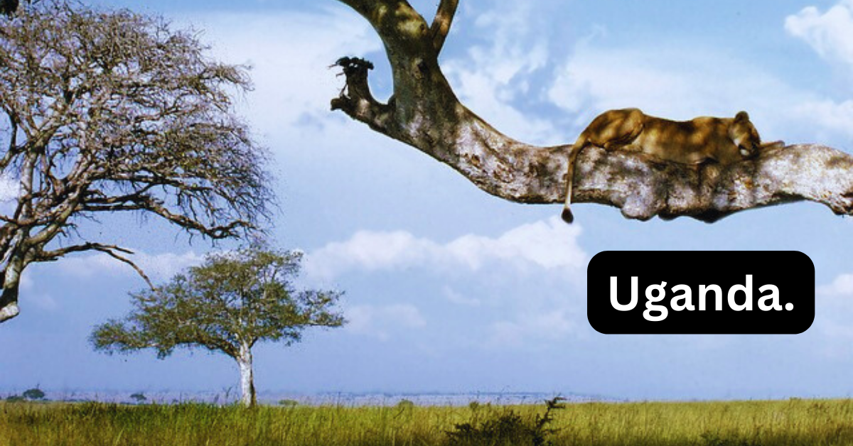 Uganda: The "Pearl of Africa", Exploring natural beauty, cultural variety and Challenges.